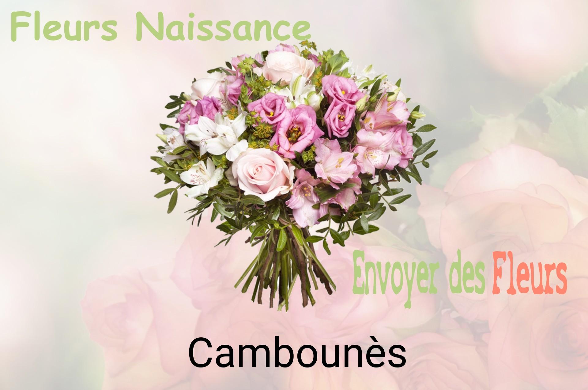 Bouquet de fleurs de naissance livré à Cambounès